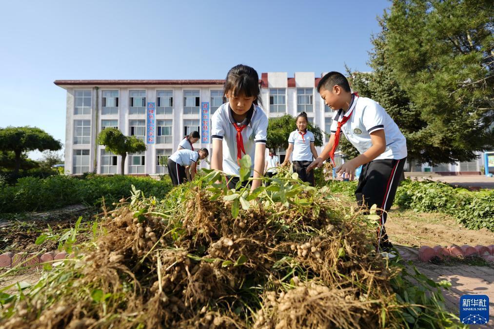 bet真假网站怎么辨认